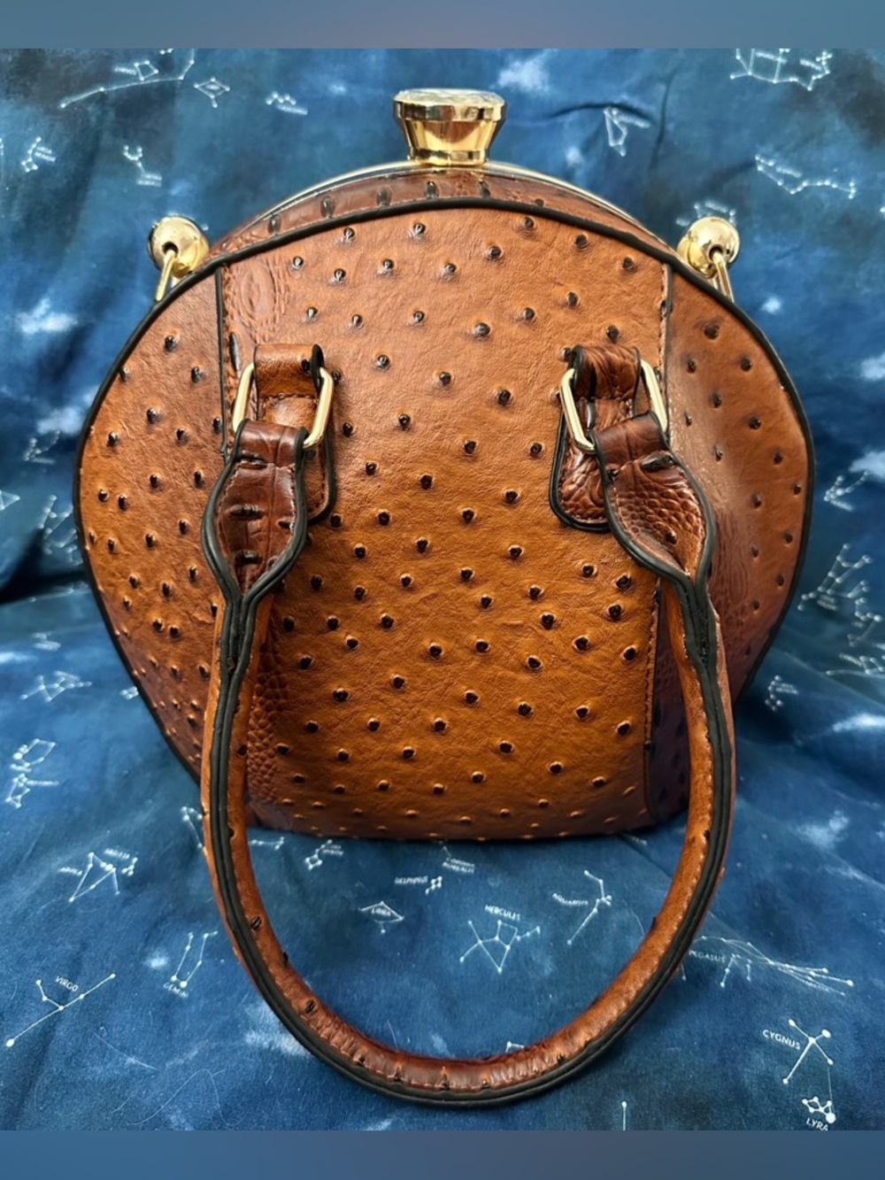 Brown Ostrich Dome Satchel